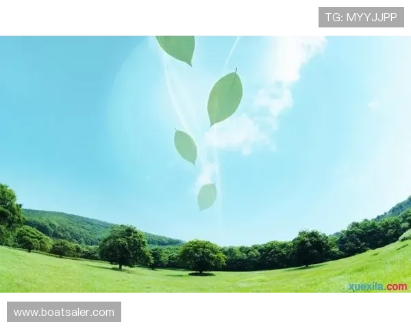 星空体育下载平台推荐及安全安装详细流程介绍