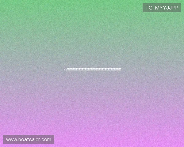 BV体育官方网站客户服务与技术支持全攻略，确保用户在使用过程中获得及时帮助